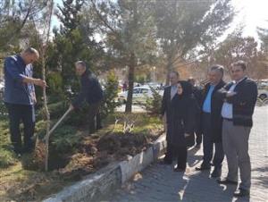 درختکاری در دانشکده